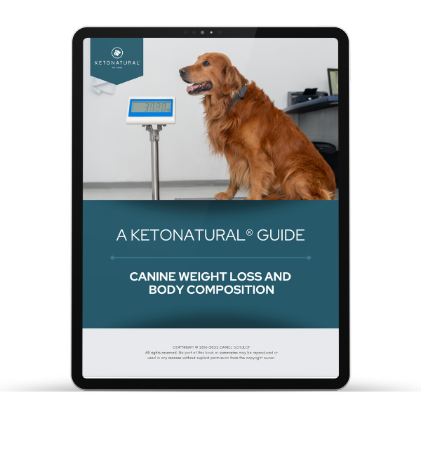 KetoNatural Obesity E-Book – KetoNatural Pet Foods